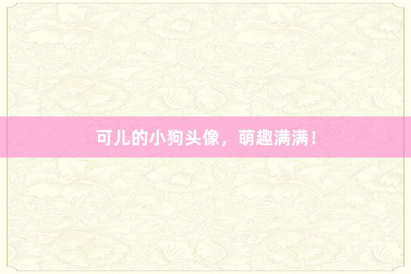 可儿的小狗头像，萌趣满满！
